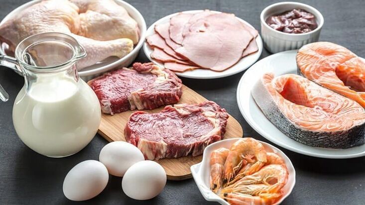 Allowed foods for protein diet